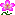 flower.gif