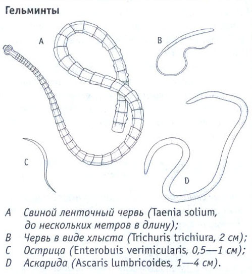 3_4-5.jpg