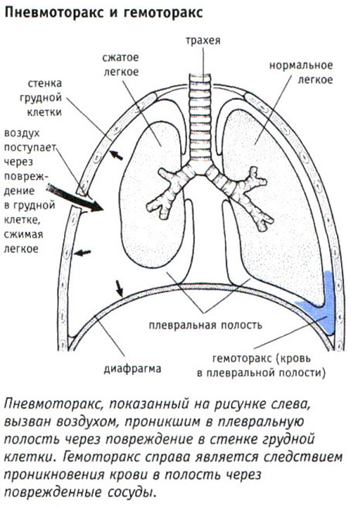 4_3-3.jpg